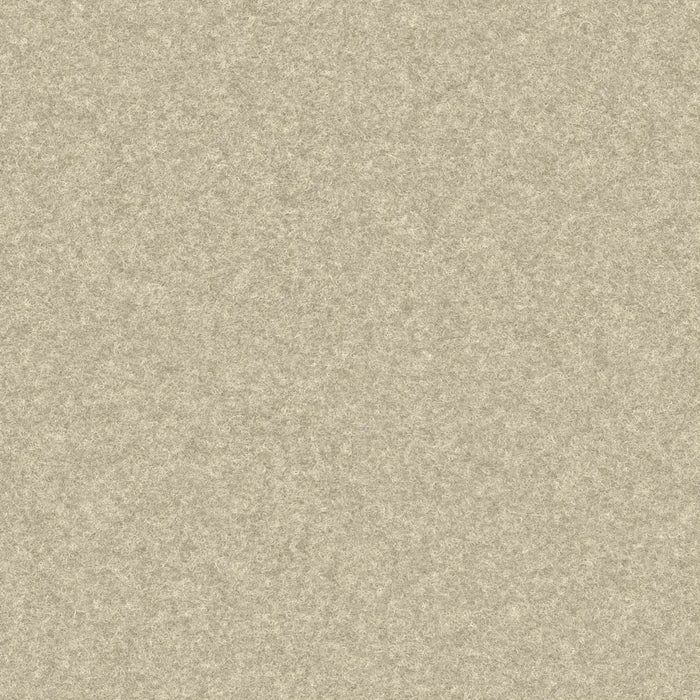 Farbmuster Fluffo Filztapete Akustik