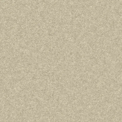 Farbmuster Fluffo Filztapete Akustik